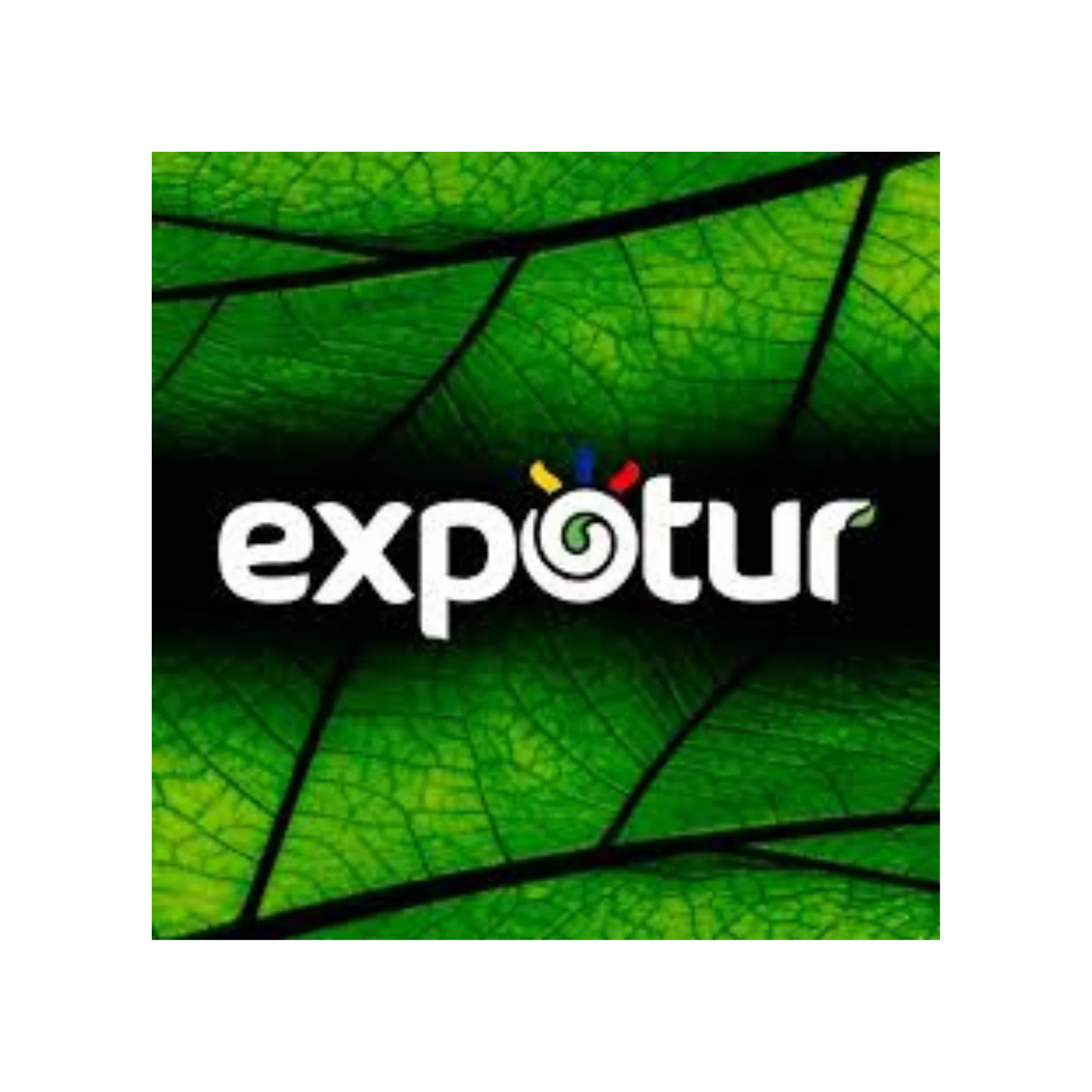 expotur client